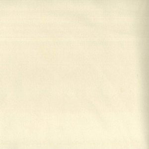 Trophy Champagne 207 by Norbar Designer Fabric 93% COTTON 7% POLYESTER TURKEY 54 - Swanky Fabrics -