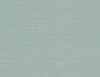 Seabrook Designs Wallpaper Seahaven Rushcloth Aloe TS80714