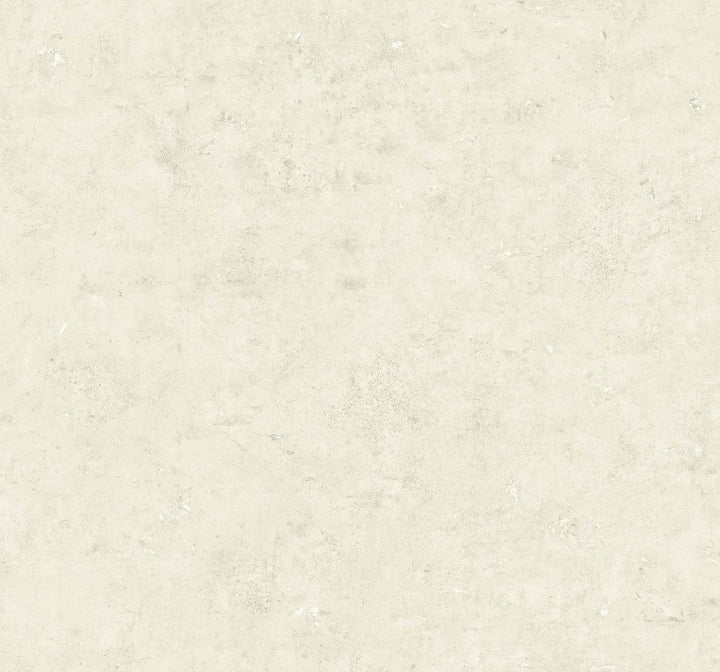 Cement Faux Oyster & Metallic Champagne TS81215 by Seabrook Designs Designer Wallpaper