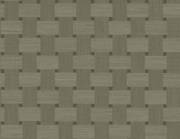 Basketweave Raw Umber TS81815 by Seabrook Designs Designer Wallpaper