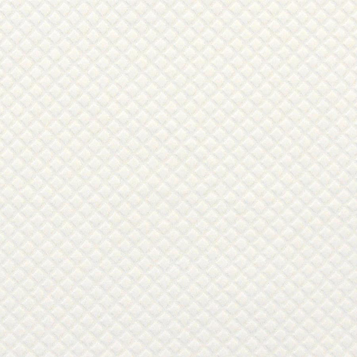 Trove # 437 Blizzard by Maxwell Designer Fabric Color Theory-Vol.Vi Flagstone 100% COTTON INDIA V-0.6"H-0.6" 56" - Swanky Fabrics -
