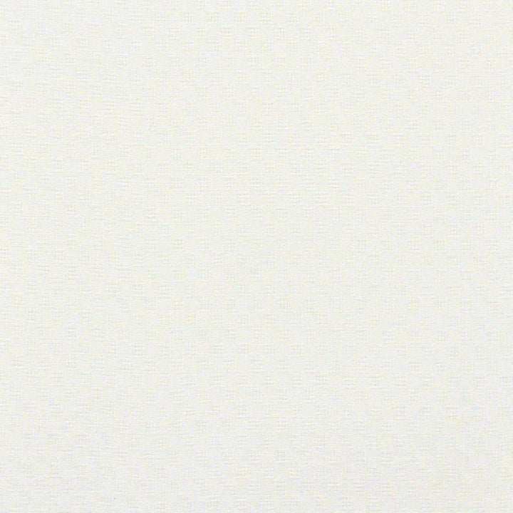 Tiber # 549 Snow by Maxwell Designer Fabric Sheer Paths 100% POLYESTER TURKEY V-0.75"H-0.75" 118" - Swanky Fabrics -