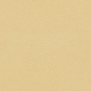 Maxwell Fabric Tannery-Nj # 101 Sand