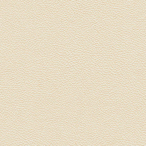 Maxwell Fabric Tannery-Nj # 124 Buff