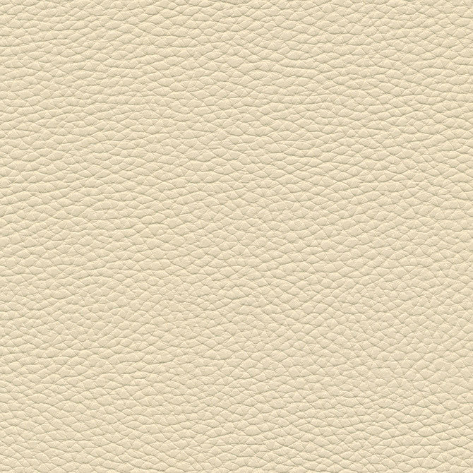 Tebessa-Nj # 137 Natural by Maxwell Designer Fabric Memos Only-Coated Fabrics FACE: 100% PVC
BACKING: 100% POLYESTER VIETNAM 54" - Swanky Fabrics -