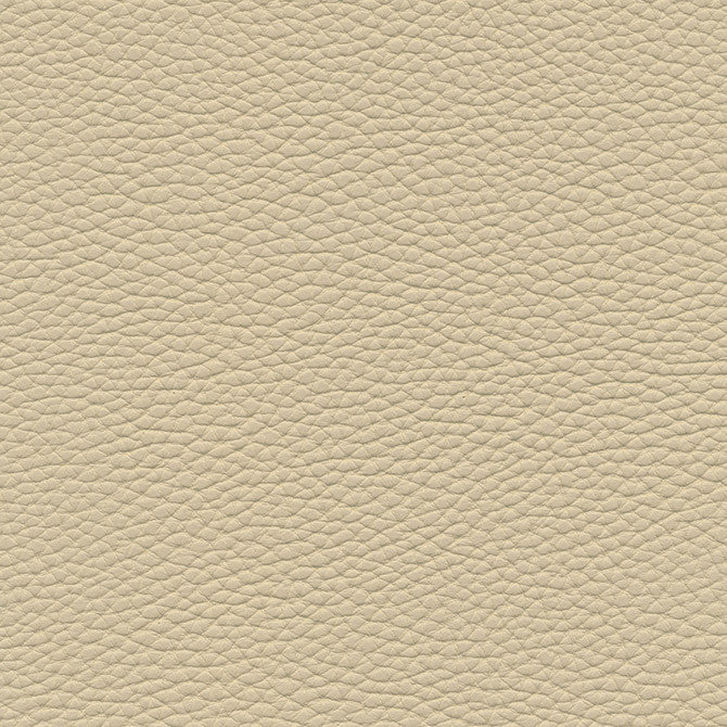 Tebessa-Nj # 138 Almond by Maxwell Designer Fabric Memos Only-Coated Fabrics FACE: 100% PVC
BACKING: 100% POLYESTER VIETNAM 54" - Swanky Fabrics -