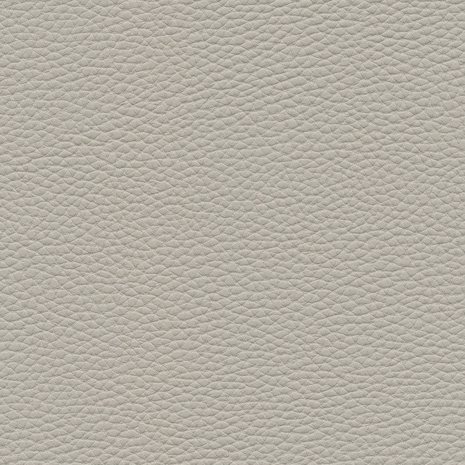 Tebessa-Nj # 139 Dove by Maxwell Designer Fabric Memos Only-Coated Fabrics FACE: 100% PVC
BACKING: 100% POLYESTER VIETNAM 54" - Swanky Fabrics -