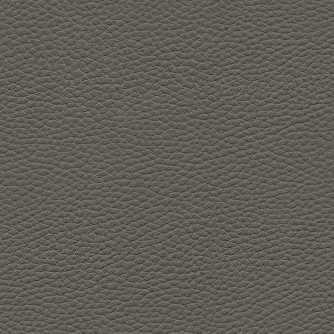 Tebessa-Nj # 142 Graphite by Maxwell Designer Fabric Memos Only-Coated Fabrics FACE: 100% PVC
BACKING: 100% POLYESTER VIETNAM 54" - Swanky Fabrics -
