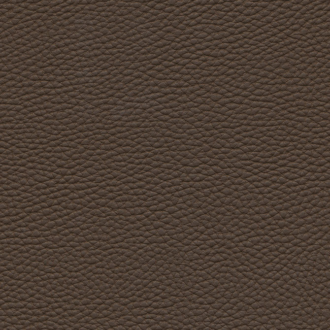 Tebessa-Nj # 143 Twig by Maxwell Designer Fabric Memos Only-Coated Fabrics FACE: 100% PVC
BACKING: 100% POLYESTER VIETNAM 54" - Swanky Fabrics -
