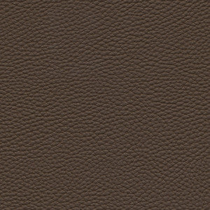 Maxwell Fabric Tebessa-Nj # 143 Twig