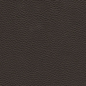 Maxwell Fabric Tebessa-Nj # 147 Star Anise