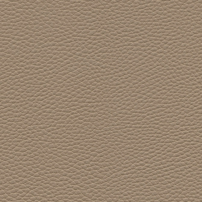 Tebessa-Nj # 148 Sienna by Maxwell Designer Fabric Memos Only-Coated Fabrics FACE: 100% PVC
BACKING: 100% POLYESTER VIETNAM 54" - Swanky Fabrics -