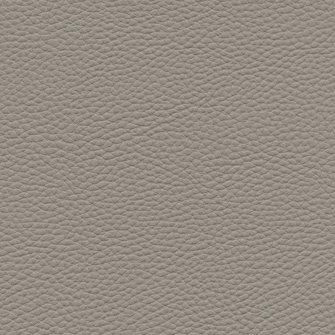 Tebessa-Nj # 149 Rock by Maxwell Designer Fabric Memos Only-Coated Fabrics FACE: 100% PVC
BACKING: 100% POLYESTER VIETNAM 54" - Swanky Fabrics -