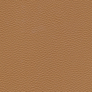 Maxwell Fabric Tebessa-Nj # 150 Pinto
