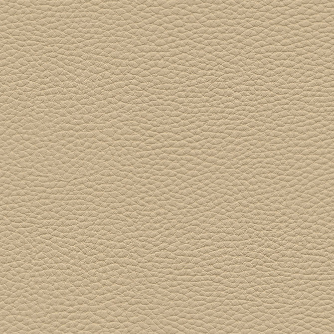 Tebessa-Nj # 152 Birch by Maxwell Designer Fabric Memos Only-Coated Fabrics FACE: 100% PVC
BACKING: 100% POLYESTER VIETNAM 54" - Swanky Fabrics -