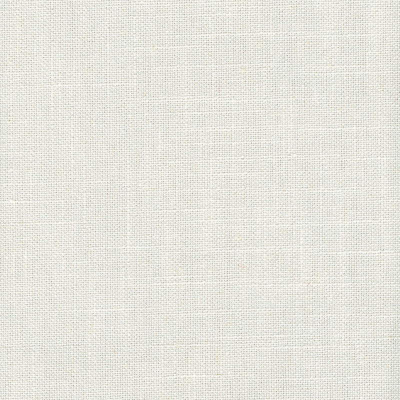 Tucker Snow by Magnolia Designer Fabric - 36Poly/26Ctn/22Visc/16Lin China 30000 Horizontal: 0 and Vertical: 0 54" - Swanky Fabrics -