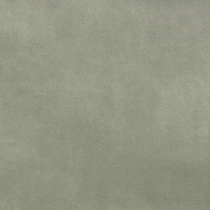 Turco 11 Grey by Stout Designer Fabric Recycled Leather 100% Other 4% Other CHINA FLAME RETARDANT-CA BULLETIN 117-SECTION E FLAME RETARDANT-U.F.A.C. CLASS 1 (OR A) FLAME RETARDANT-N.F.P.A. 260A CLASS 1 WYZENBEEK 100 000 DOUBLE RUB WEAR TEST (HEAVY DUTY) PERFORMANCE RATED FABRIC Horizontal: 0 and Vertical: 0 54 in - Swanky Fabrics -