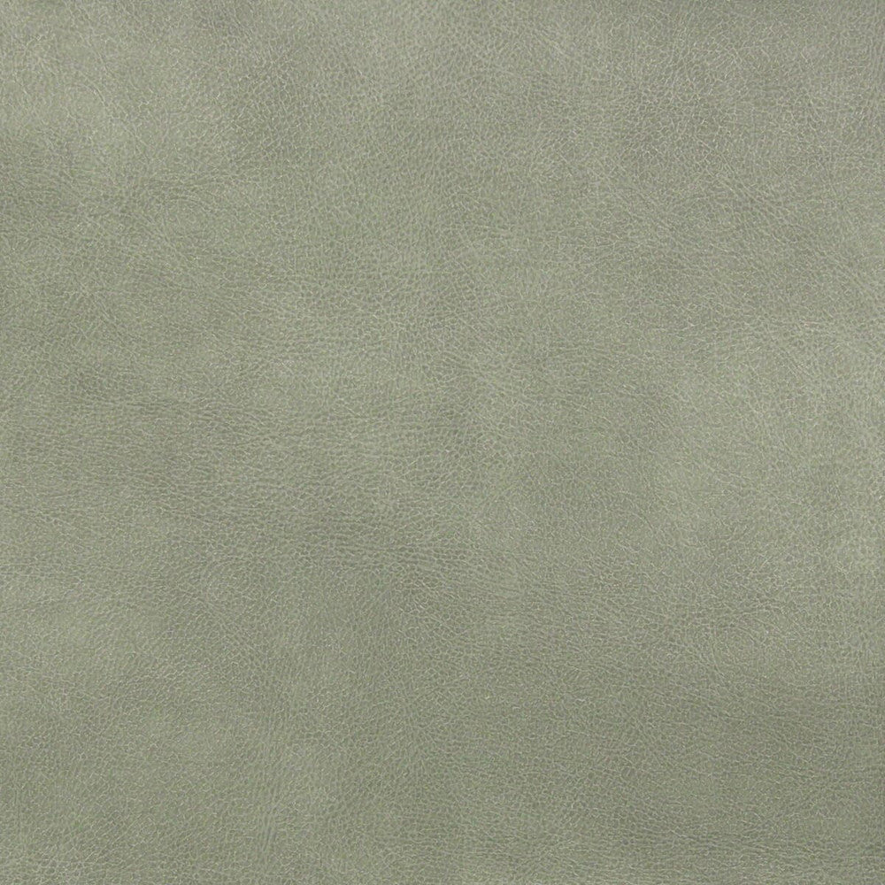 Turco 11 Grey by Stout Designer Fabric LEATHER LOOKS III PERFORMANCE 100%OTH 4%OTH CHINA FLAME RETARDANT-CA BULLETIN 117-SECTION E FLAME RETARDANT-U.F.A.C. CLASS 1 FLAME RETARDANT-N.F.P.A. 260A CLASS 1 WYZENBEEK 100 000 DOUBLE RUB WEAR TEST (HEAVY DUTY) PERFORMANCE RATED FABRIC Horizontal: 0 and Vertical: 0 54 in - Swanky Fabrics -