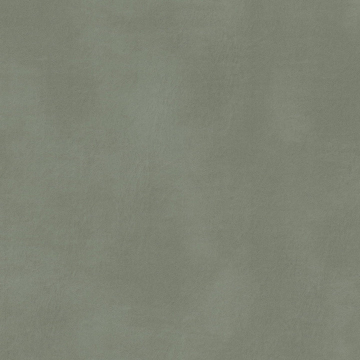 Turco 11 Grey by Stout Fabric Stout Fabric Turco 11 GreyFabric LEATHER LOOKS V 100%OTH 4%OTH CHINA </p><p>Repeat: H: 0.000, V: 0.000 54 in - Fabric Carolina -