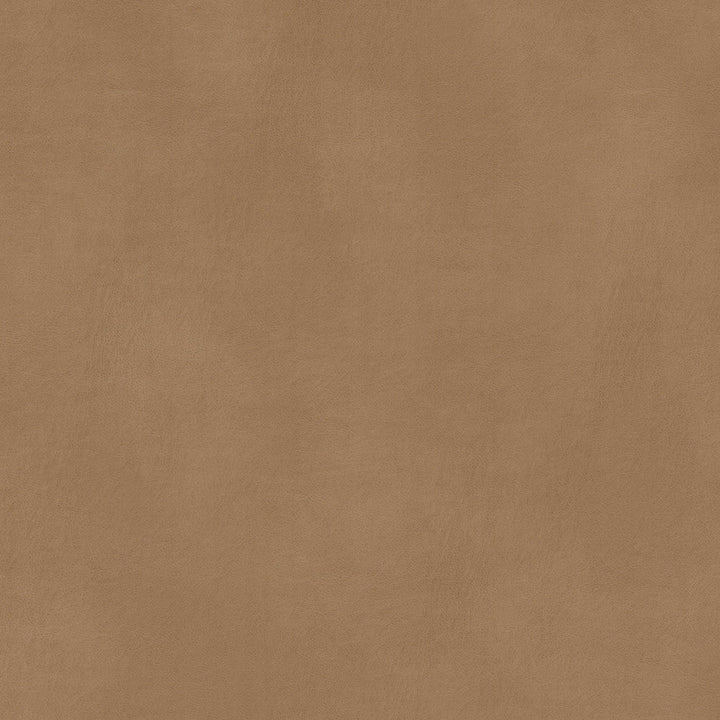 Turco 4 Caramel by Stout Fabric Stout Fabric Turco 4 CaramelFabric LEATHER LOOKS III PERFORMANCE 100%OTH 4%OTH CHINA </p><p>Repeat: H: 0.000, V: 0.000 54 in - Fabric Carolina -