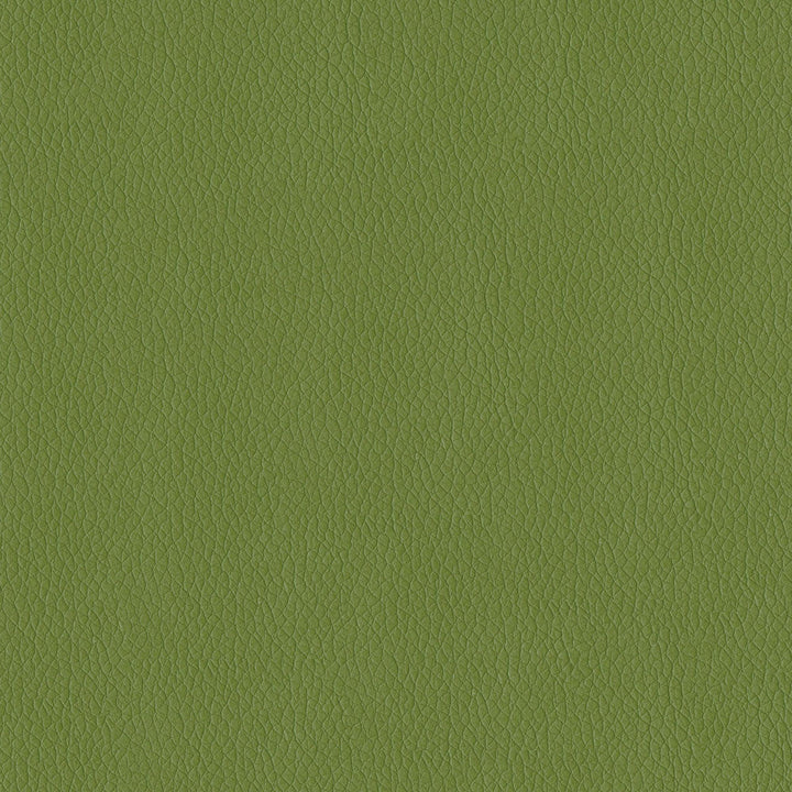 Miami 205 Sprig by ABBEYSHEA Designer Fabric N/A 90% Polyester, 10% Rayon China 60,000 Double Rubs </p><p>Repeat: Horizontal: and Vertical: 54" (137 cm) - Swanky Fabrics -