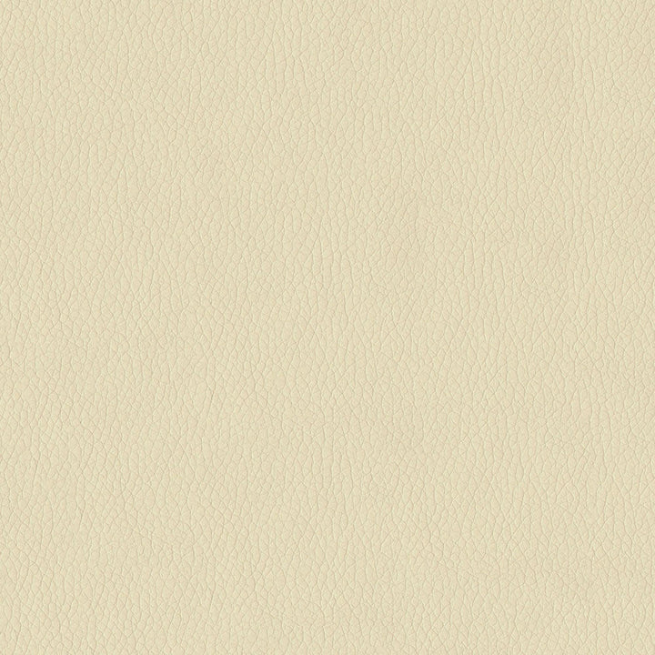Miami 6003 Cream by ABBEYSHEA Designer Fabric N/A 100% Polyester China </p><p>Repeat: Horizontal: 0.3" (0.8 cm) Across the Roll and Vertical: 0.3" (0.8 cm) Up the Roll 57" (144 cm) - Swanky Fabrics -