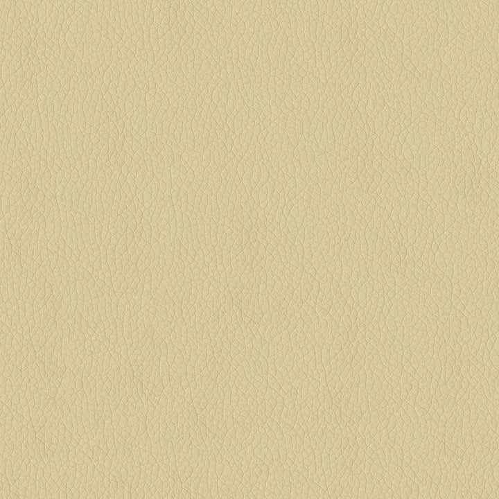 Miami 605 Parchment by ABBEYSHEA Designer Fabric N/A 100% Polyester China </p><p>Repeat: Horizontal: 0.3" (0.8 cm) Across the Roll and Vertical: 0.3" (0.8 cm) Up the Roll 57" (144 cm) - Swanky Fabrics -