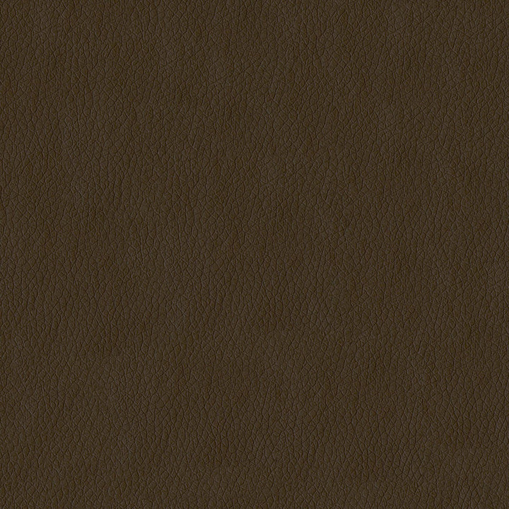 Miami 802 Tan by ABBEYSHEA Designer Fabric N/A 100% Polyester China </p><p>Repeat: Horizontal: 0.3" (0.8 cm) Across the Roll and Vertical: 0.3" (0.8 cm) Up the Roll 57" (144 cm) - Swanky Fabrics -