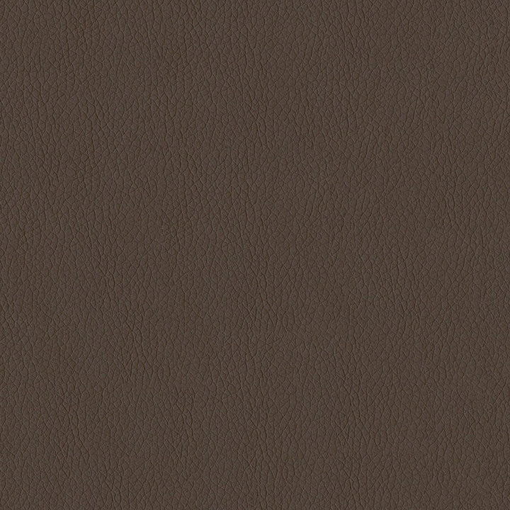 Miami 808 Mocha by ABBEYSHEA Designer Fabric N/A 100% Polyester China 34,000 Double Rubs </p><p>Repeat: Horizontal: and Vertical: 57" (144 cm) - Swanky Fabrics -