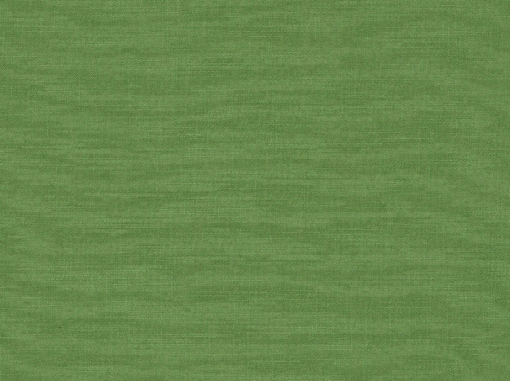 Hp-Tutti Frutti 251 Island Green by Covington Designer Fabric Covington Right 19.5 29.25 0 0 by product