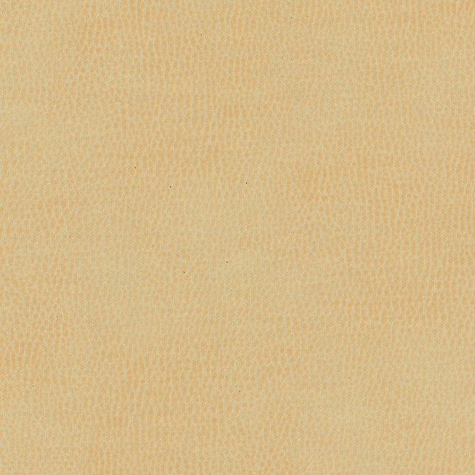 Top Grain-Nj # 840 Boer by Maxwell Designer Fabric Memos Only-Coated Fabrics FACE: 100% SILICONE
BACKING: 100% POLYESTER KOREA 54" - Swanky Fabrics -