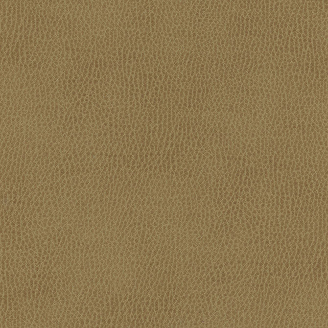 Top Grain-Nj # 845 Moss by Maxwell Designer Fabric Memos Only-Coated Fabrics FACE: 100% SILICONE
BACKING: 100% POLYESTER KOREA 54" - Swanky Fabrics -
