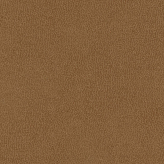 Top Grain-Nj # 856 Paso by Maxwell Designer Fabric Memos Only-Coated Fabrics FACE: 100% SILICONE
BACKING: 100% POLYESTER KOREA 54" - Swanky Fabrics -