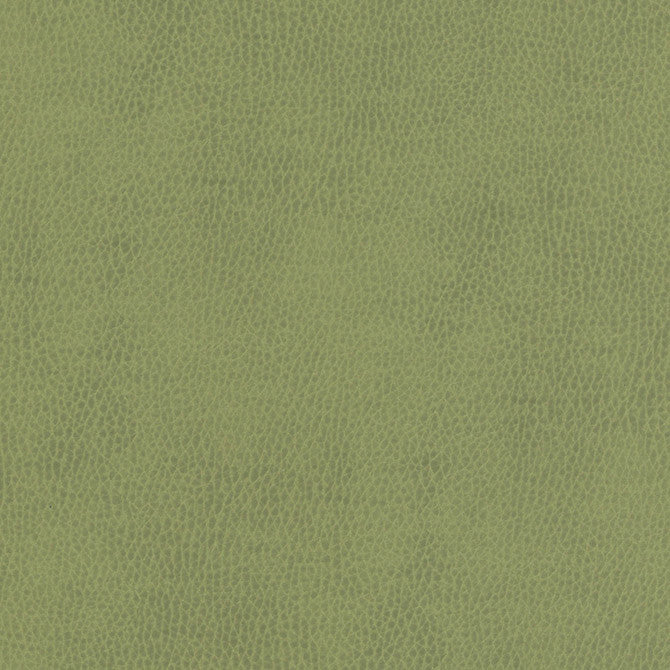 Top Grain-Nj # 857 Celery by Maxwell Designer Fabric Memos Only-Coated Fabrics FACE: 100% SILICONE
BACKING: 100% POLYESTER KOREA 54" - Swanky Fabrics -