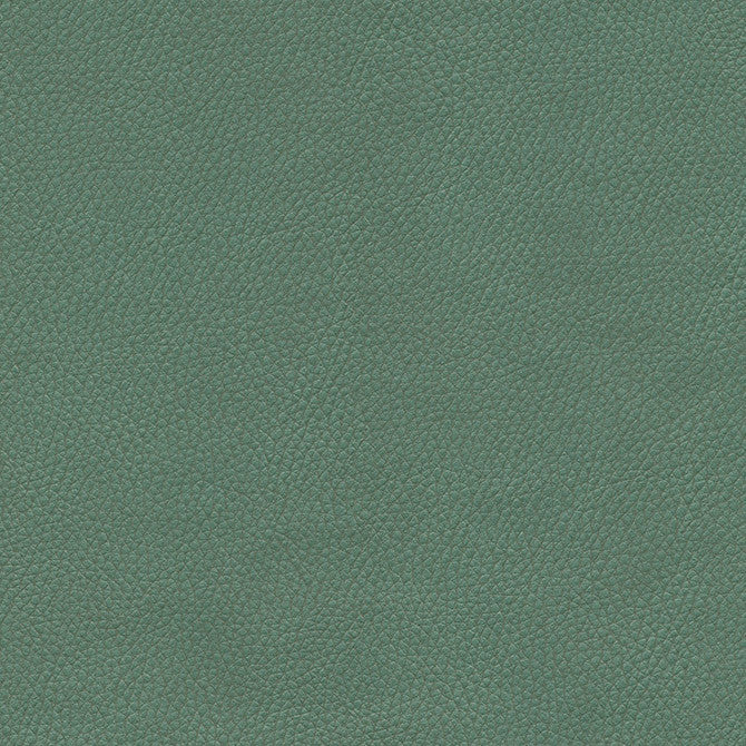 Top Grain-Nj # 859 Spruce by Maxwell Designer Fabric Memos Only-Coated Fabrics FACE: 100% SILICONE
BACKING: 100% POLYESTER KOREA 54" - Swanky Fabrics -