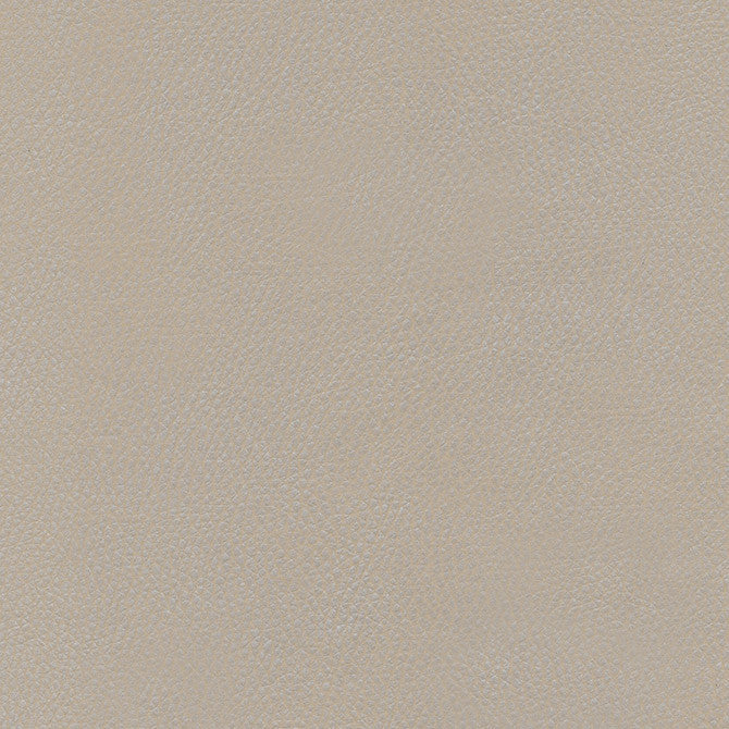 Top Grain-Nj # 861 Criollo by Maxwell Designer Fabric Memos Only-Coated Fabrics FACE: 100% SILICONE
BACKING: 100% POLYESTER KOREA 54" - Swanky Fabrics -