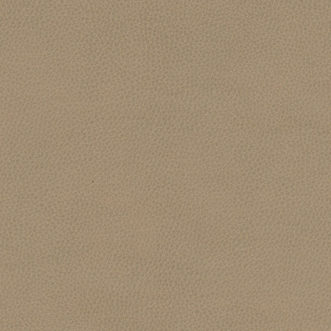 Top Grain-Nj # 864 Grey Hound by Maxwell Designer Fabric Memos Only-Coated Fabrics FACE: 100% SILICONE
BACKING: 100% POLYESTER KOREA 54" - Swanky Fabrics -