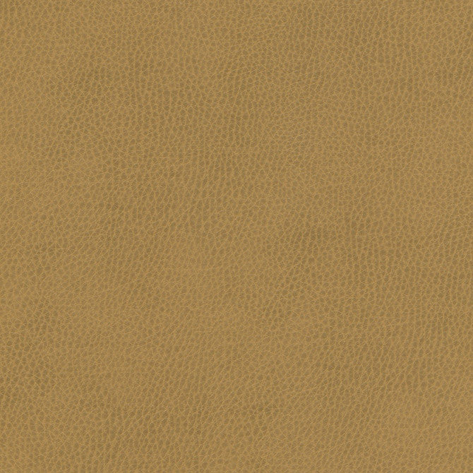 Top Grain-Nj # 866 Coin by Maxwell Designer Fabric Memos Only-Coated Fabrics FACE: 100% SILICONE
BACKING: 100% POLYESTER KOREA 54" - Swanky Fabrics -