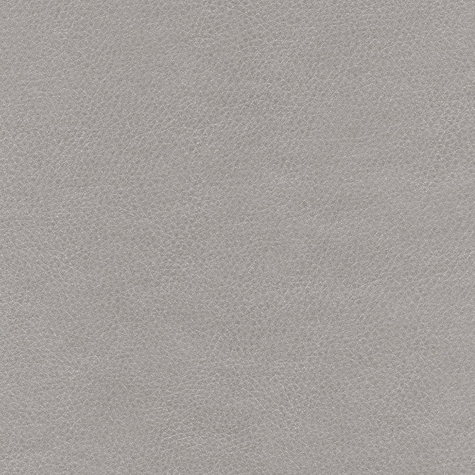 Top Grain-Nj # 869 Barb by Maxwell Designer Fabric Memos Only-Coated Fabrics FACE: 100% SILICONE
BACKING: 100% POLYESTER KOREA 54" - Swanky Fabrics -