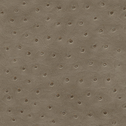 Twitter-Nj # 290 Pigeon by Maxwell Designer Fabric Memos Only-Coated Fabrics FACE: 100% PVC
BACKING: 65% POLYESTER
35% COTTON KOREA 54" - Swanky Fabrics -