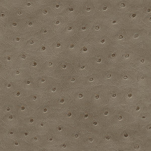 Maxwell Fabric Twitter-Nj # 290 Pigeon
