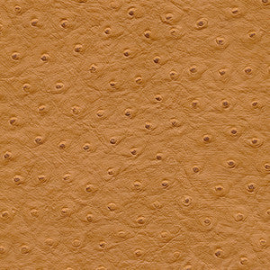 Maxwell Fabric Twitter-Nj # 295 Autumn