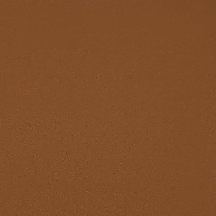Trailrider # 106 Butternut by Maxwell Designer Fabric Trailrider FACE: 100% POLYURETHANE (POLYCARBONATE)
BACKING: 100% POLYESTER CHINA 54" - Swanky Fabrics -