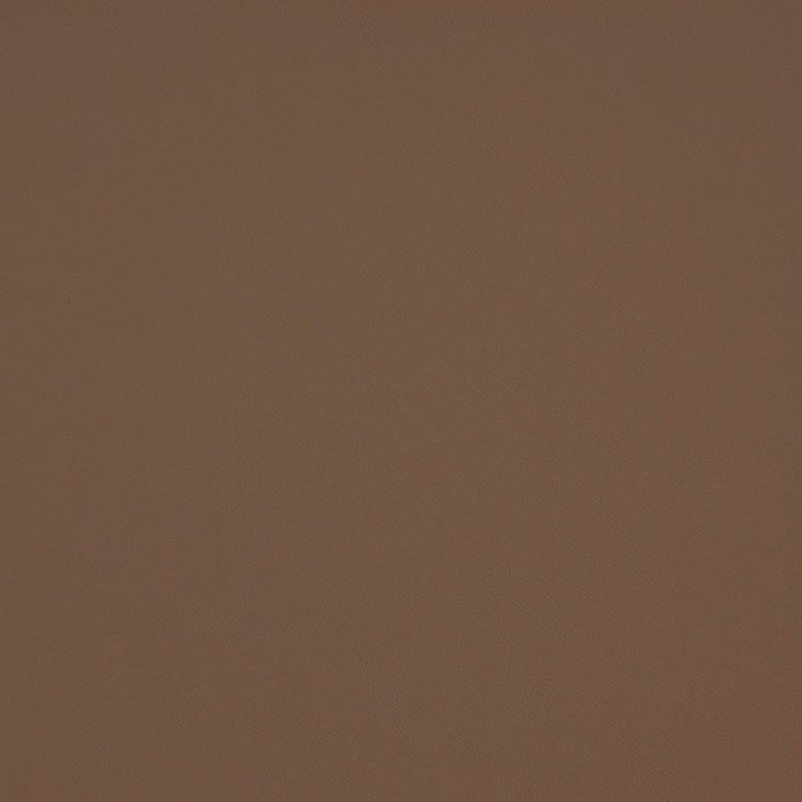 Trailrider # 107 Tan by Maxwell Designer Fabric Trailrider FACE: 100% POLYURETHANE (POLYCARBONATE)
BACKING: 100% POLYESTER CHINA 54" - Swanky Fabrics -
