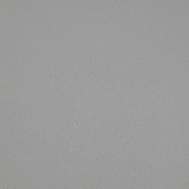 Trailrider # 116 Dawn by Maxwell Designer Fabric Trailrider FACE: 100% POLYURETHANE (POLYCARBONATE)
BACKING: 100% POLYESTER CHINA 54" - Swanky Fabrics -