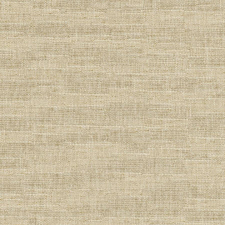 Tambo # 505 Seagrass by Maxwell Designer Fabric Pure & Simple Xvii 58% COTTON
42% POLYESTER INDIA 54" - Swanky Fabrics -
