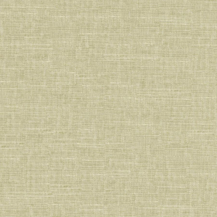 Tambo # 518 Matcha by Maxwell Designer Fabric Pure & Simple Xvii 58% COTTON
42% POLYESTER INDIA 54" - Swanky Fabrics -