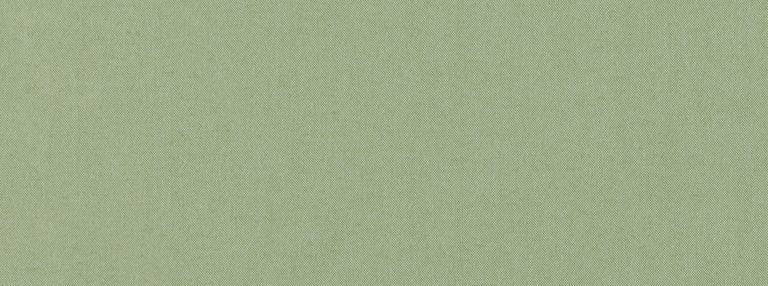 Twain 203 Aloe by Covington Designer Fabric