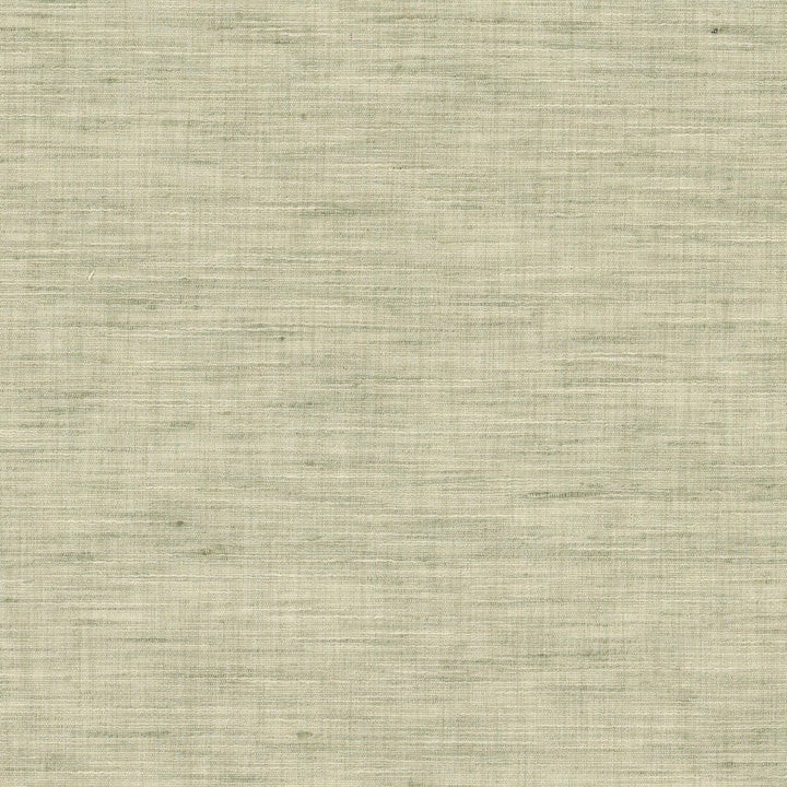 Tyler 1 Celery by Stout Fabric Stout Fabric Tyler 1 CeleryFabric COLOR MY WINDOW HAZE/SHORELINE 100%POL INDIA </p><p>Repeat: H: 0.000, V: 0.000 54 in - Fabric Carolina -