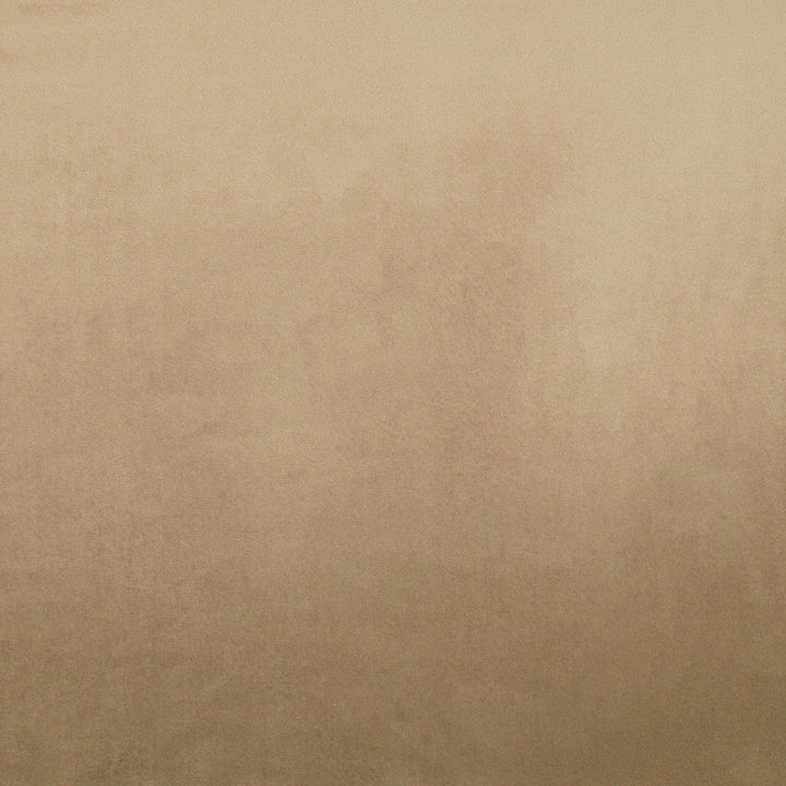 Tailored Leisure Almond by Europatex Designer Fabric Tailored 100% Polyester 0.00" 55.00 inches - Swanky Fabrics -